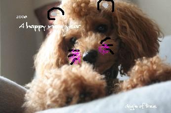 012008happynewyearmuku.jpg