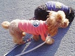 07121408.PA0_0041.JPG
