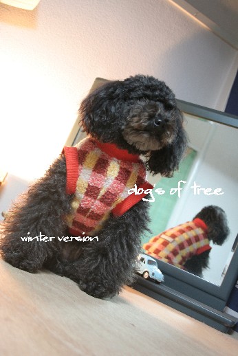 20071218an.jpg