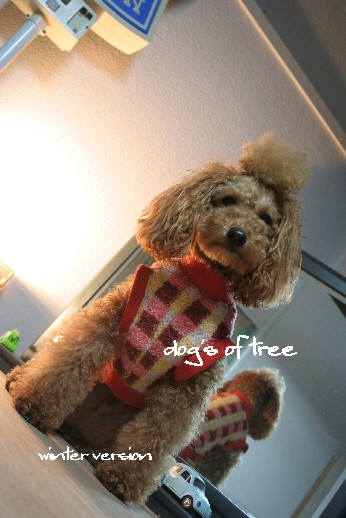 20071218muku.jpg