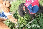 20080109.jpg