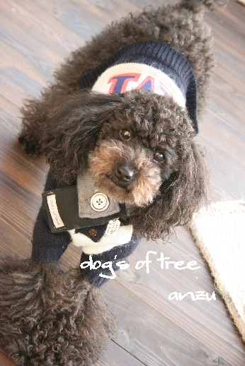 2008011001anzu.jpg
