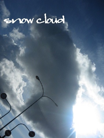 20080117.jpg