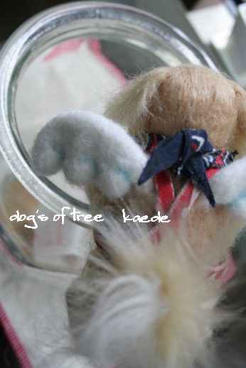 20080122kaede00jpg.jpg