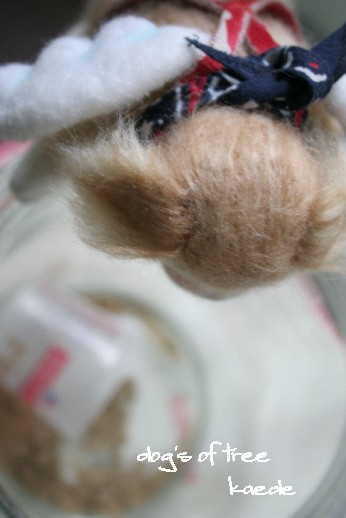 20080122kaede1.jpg