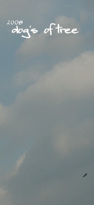2008101501.jpg