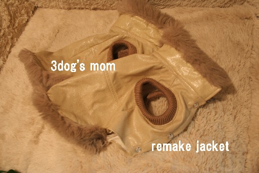 3dog's02.jpg