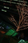 IMG_0548.JPG