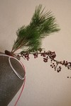 IMG_1006.JPG