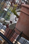 IMG_183201.jpg