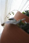 IMG_1836.00.jpg