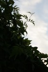 IMG_8308.JPG