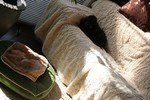 IMG_8584.JPG