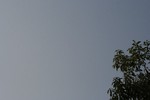 IMG_8626.JPG