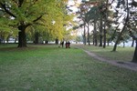 IMG_9194.JPG