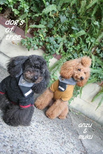 anzu&muku120403.jpg