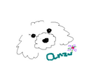 anzupeinto.bmp