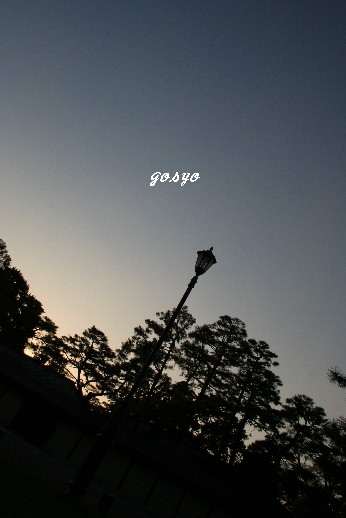 gozyo5646.jpg