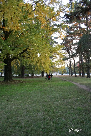 ityou01.jpg