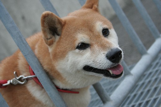 momochan.jpg