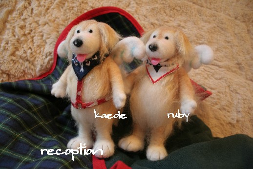 reception.jpg