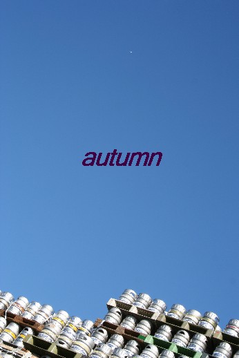 soraautumn.jpg