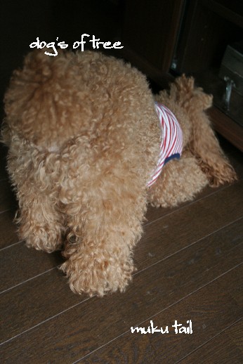 tail02.jpg