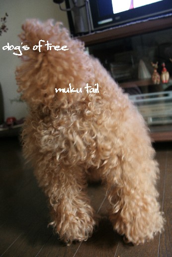 tail03.jpg