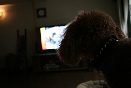 tv02.jpg