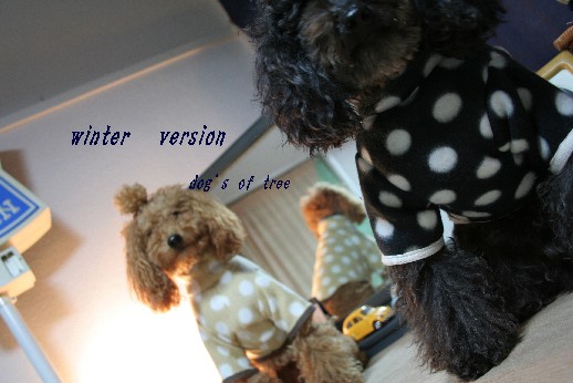 winterversion.112035.jpg