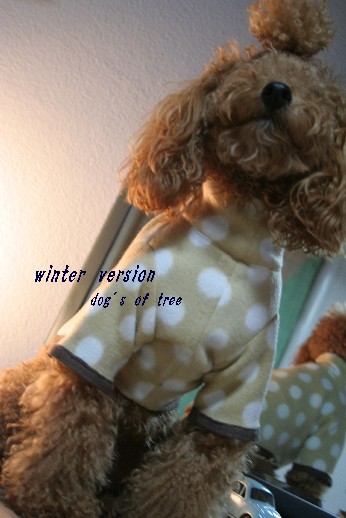 winterversion.jpg