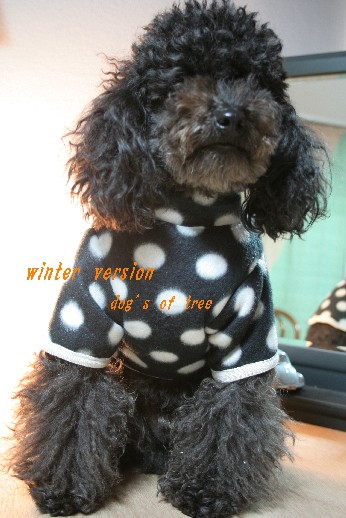 winterversion125689.jpg